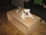 honden foto honden foto van Ellen