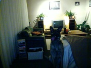 honden foto van Jamie