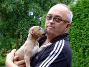 honden foto van Haico