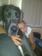 honden foto honden foto van Fabienne