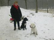 honden foto van Loeka