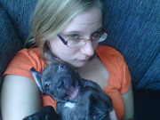 honden foto van Sugamilk, Milou en Steffie*