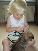 honden foto van yvette luck