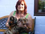 honden foto honden foto van GODELIEVE VAN DRIESSCHE