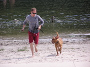 honden foto van S en Z