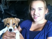 honden foto van vanety