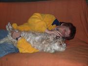 honden foto van saskia