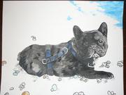 honden foto honden foto van elisabeth .Spanje