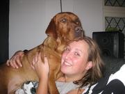 honden foto van mandy