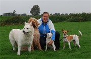 honden foto honden foto van natascha