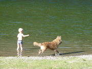 honden foto van Krist