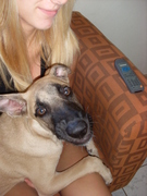 honden foto van Linda