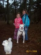 honden foto van kathy Baak