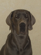 honden foto van Walter