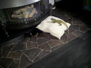 honden foto van grietje
