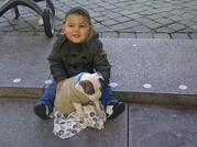 honden foto van hafida
