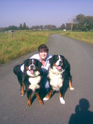 honden foto van Roelandt carla