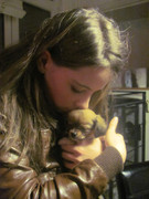 honden foto honden foto van Lize&Pip