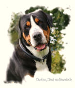 honden foto van Peggy 