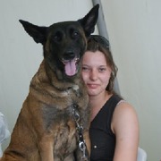 honden foto van Mufasa