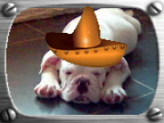 Hoe vaak komt mijn achternaam voor Hoe vaak komt mijn achternaam voor