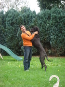 honden foto van Mike