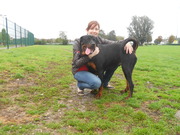 honden foto van kayleigh