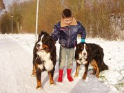 honden foto van Andy van Druten
