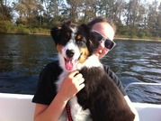 honden foto van puck