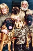 honden foto van Dark_Snow_White