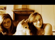 honden foto van kelly