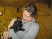 honden foto van Mariska