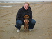 honden foto van Anne
