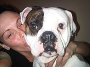 honden foto van cissy