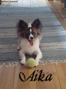 honden foto van Rebecca