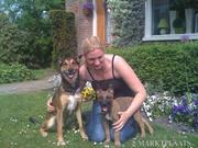 honden foto van sabine