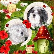 honden foto van Ingrid