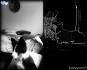 honden foto van ilse