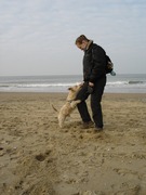 honden foto van Saskia Verweij