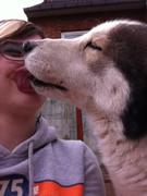 honden foto van mawy