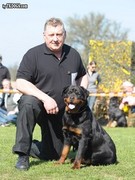 honden foto van Viskens Hedwig