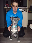 honden foto honden foto van remco en macho