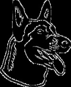 honden foto van simone