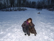 honden foto van Stans & labrador Tasha