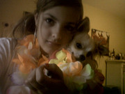 honden foto van moisha