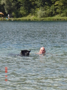 honden foto van Enrico