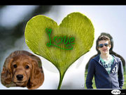 honden foto van Maikel