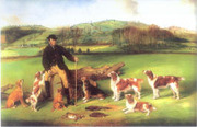 honden foto van Martijn