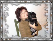 honden foto van Angel