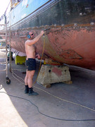 honden foto van Tineke van Es